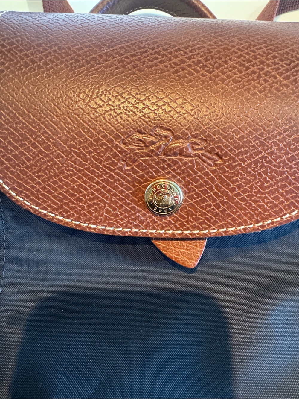 Longchamp Backpack - Picture 3 of 5